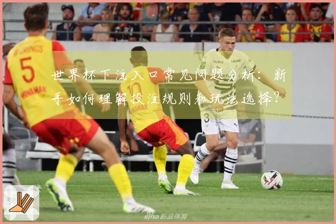 世界杯下注入口常见问题分析：新手如何理解投注规则和玩法选择？