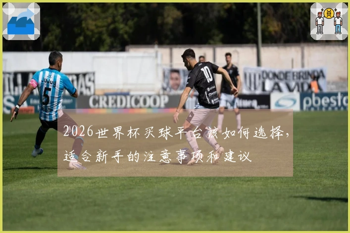 2026世界杯买球平台该如何选择，适合新手的注意事项和建议