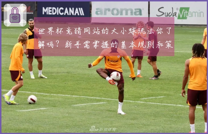 世界杯竞猜网站的大小球玩法你了解吗？新手需掌握的基本规则和策略