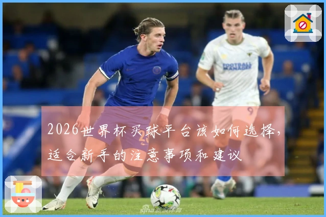 2026世界杯买球平台该如何选择，适合新手的注意事项和建议